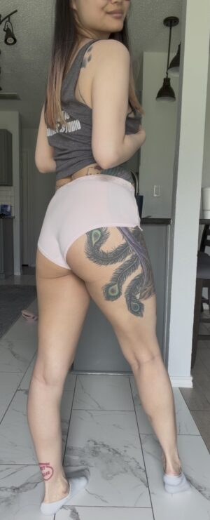 Selena’s Light Pink High Waisted Panty